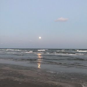 Meet your Posher, Kylie